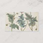 Papavers: 1.Papaver multiplex albumoris rubicundis Visitekaartje (Achterkant)