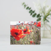 Papavers Briefkaart (Staand voorkant)