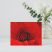 Papavers Briefkaart (Staand voorkant)