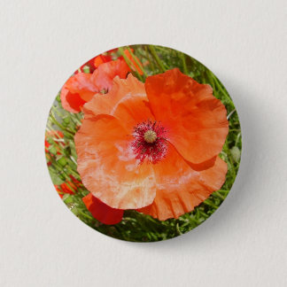papavers - coquelicots ronde button 5,7 cm