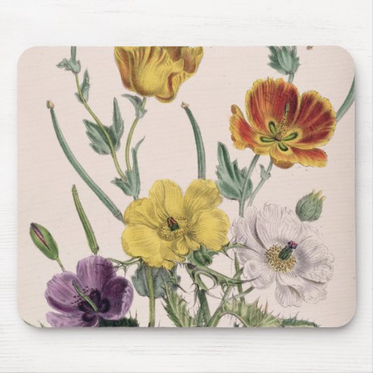 papavers en annemonen muismat (Voorkant)