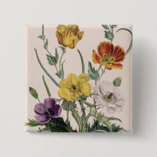 papavers en annemonen vierkante button 5,1 cm (Voorkant)