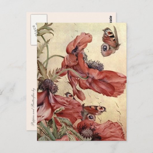  papavers en botervliegen briefkaart (Voorkant / Achterkant)