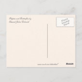 papavers en botervliegen briefkaart (Achterkant)