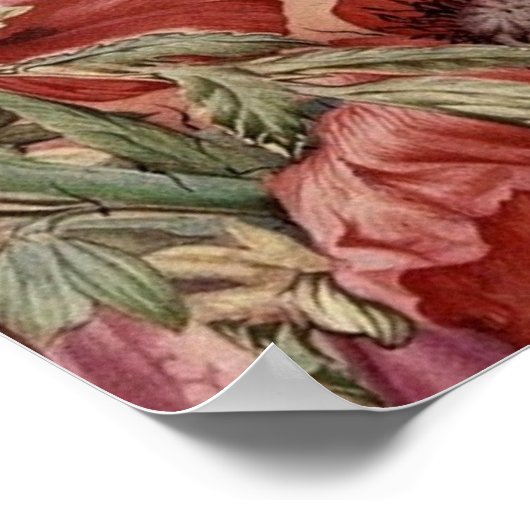  papavers en botervliegen poster (Hoek)