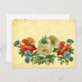 papavers en cornbloemen briefkaart (Voorkant / Achterkant)