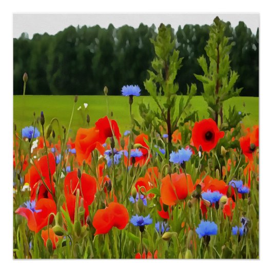 Papavers en cornbloemen Realistisch landschapskuns Poster (Voorkant)