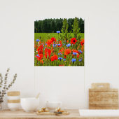 Papavers en cornbloemen Realistisch landschapskuns Poster (Keuken)