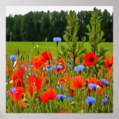 Papavers en cornbloemen Realistisch landschapskuns Poster (Voorkant)