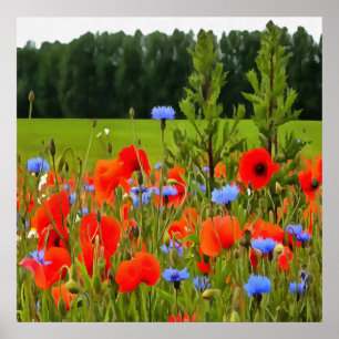 Papavers en cornbloemen Realistisch landschapskuns Poster