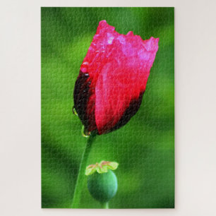 Papavers en regendruppels legpuzzel