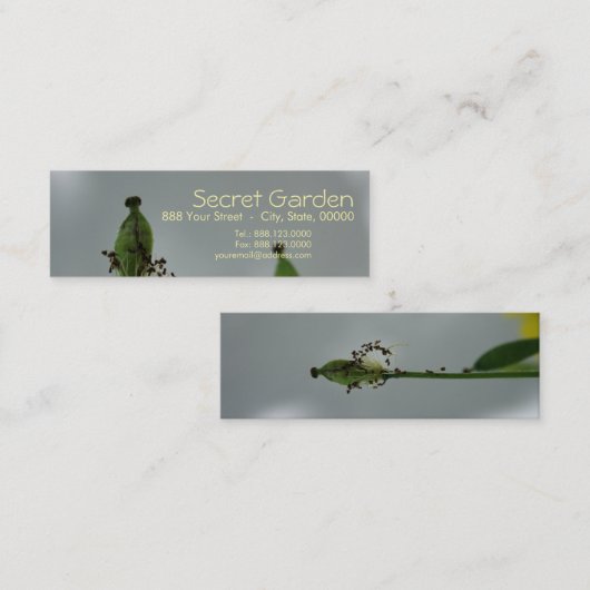 Papavers en schaduwen (5) mini visitekaartje (Voorkant / Achterkant)