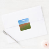 Papavers herinneren zich vierkante sticker (Envelop)