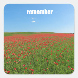 Papavers herinneren zich vierkante sticker