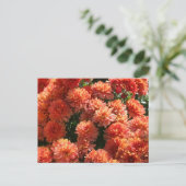 Papavers I Briefkaart (Staand voorkant)