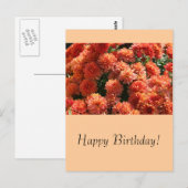 Papavers I Briefkaart (Voorkant / Achterkant)