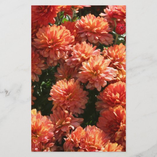 Papavers I Briefpapier (Voorkant)