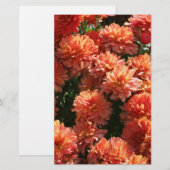 Papavers I Briefpapier (Voorkant / Achterkant)