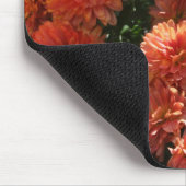 Papavers I Muismat (Hoek)