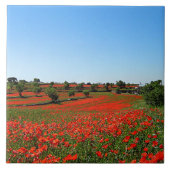 Papavers in Bloom Tegeltje (Voorkant)