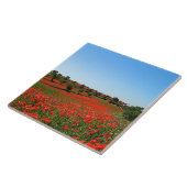 Papavers in Bloom Tegeltje (Zijkant)