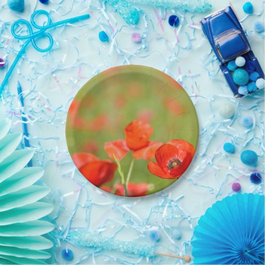 Papavers in een bord van papaverveld met picknick- (Feest)