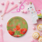 Papavers in een bord van papaverveld met picknick- (Feest)