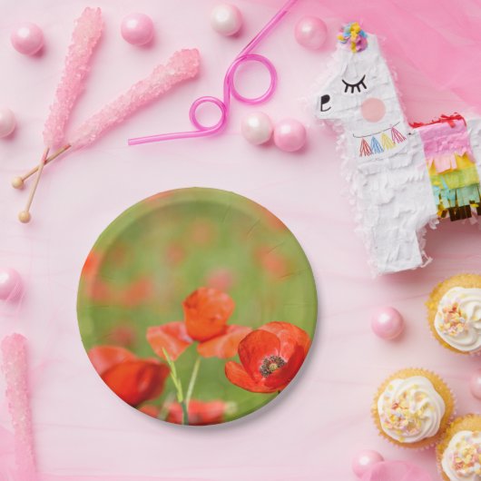 Papavers in een bord van papaverveld met picknick- (Feest)