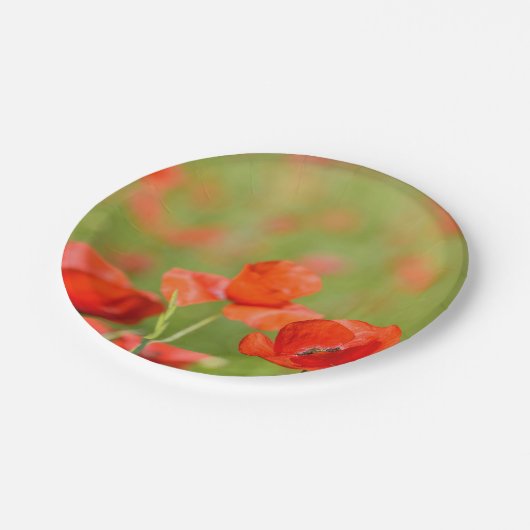 Papavers in een bord van papaverveld met picknick- (Gekanteld)