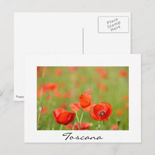 Papavers in een briefkaart met witte tekst in een (Voorkant / Achterkant)