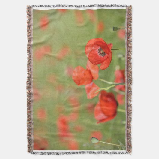 Papavers in een deken van een papaverveld (Voorkant Verticaal)