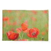 Papavers in een hoesje van papavervelden kussensloop (Achterkant-Links)