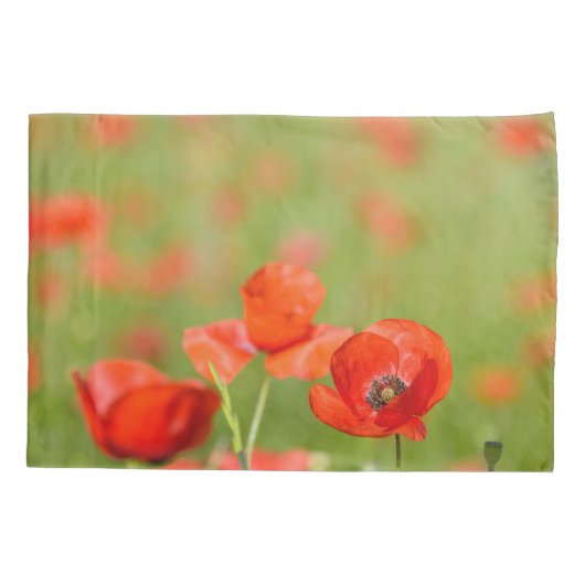 Papavers in een hoesje van papavervelden kussensloop (Achterkant-Links)