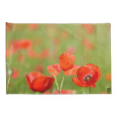 Papavers in een hoesje van papavervelden kussensloop (Achterkant-Rechts)