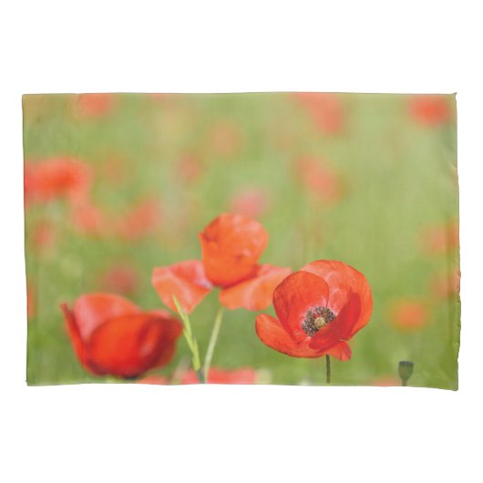 Papavers in een hoesje van papavervelden kussensloop (Voorkant-Links)