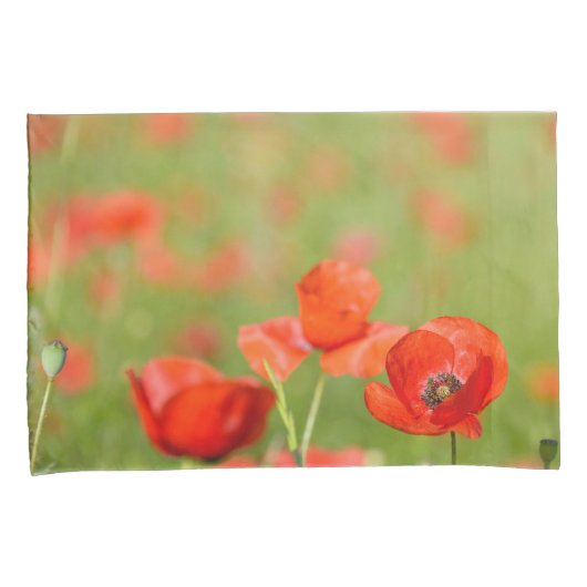 Papavers in een hoesje van papavervelden kussensloop (Voorkant-Rechts)