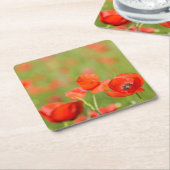 Papavers in een onderzetter van papavervelden (Schuin)