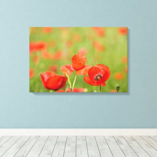 Papavers in een papaver veld canvas (Insitu (Houten vloer))