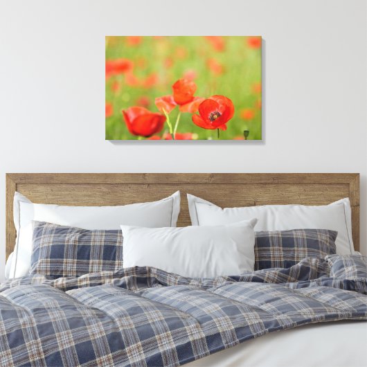 Papavers in een papaver veld canvas (Insitu (Slaapkamer))