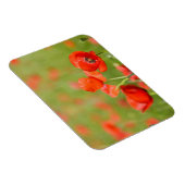 Papavers in een papaverveld rechthoekige magneet (Rechterzijde)