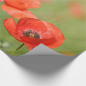 Papavers in een papaverveld voor het verpakken van cadeaupapier (Hoek)