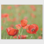 Papavers in een papaverveld voor het verpakken van cadeaupapier (Vlak)