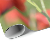 Papavers in een papaverveld voor het verpakken van cadeaupapier (Rol Hoek)