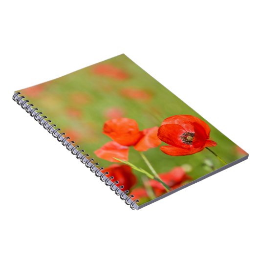 Papavers in een papaverveldnotebook notitieboek (Rechterzijde)