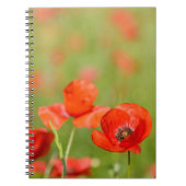 Papavers in een papaverveldnotebook notitieboek (Voorkant)