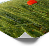 Papavers in een Poster met warmtewaarde (Hoek)