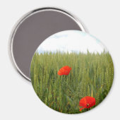 Papavers in een Wheat Field Large Round Magnet (Voorkant / Achterkant)