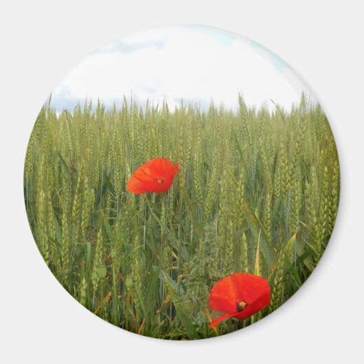 Papavers in een Wheat Field Large Round Magnet (Voorkant)