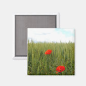 Papavers in een Wheat Field Square Magnet (Voorkant / Achterkant)