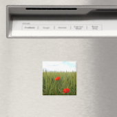 Papavers in een Wheat Field Square Magnet (Insitu (Vaatwasser))